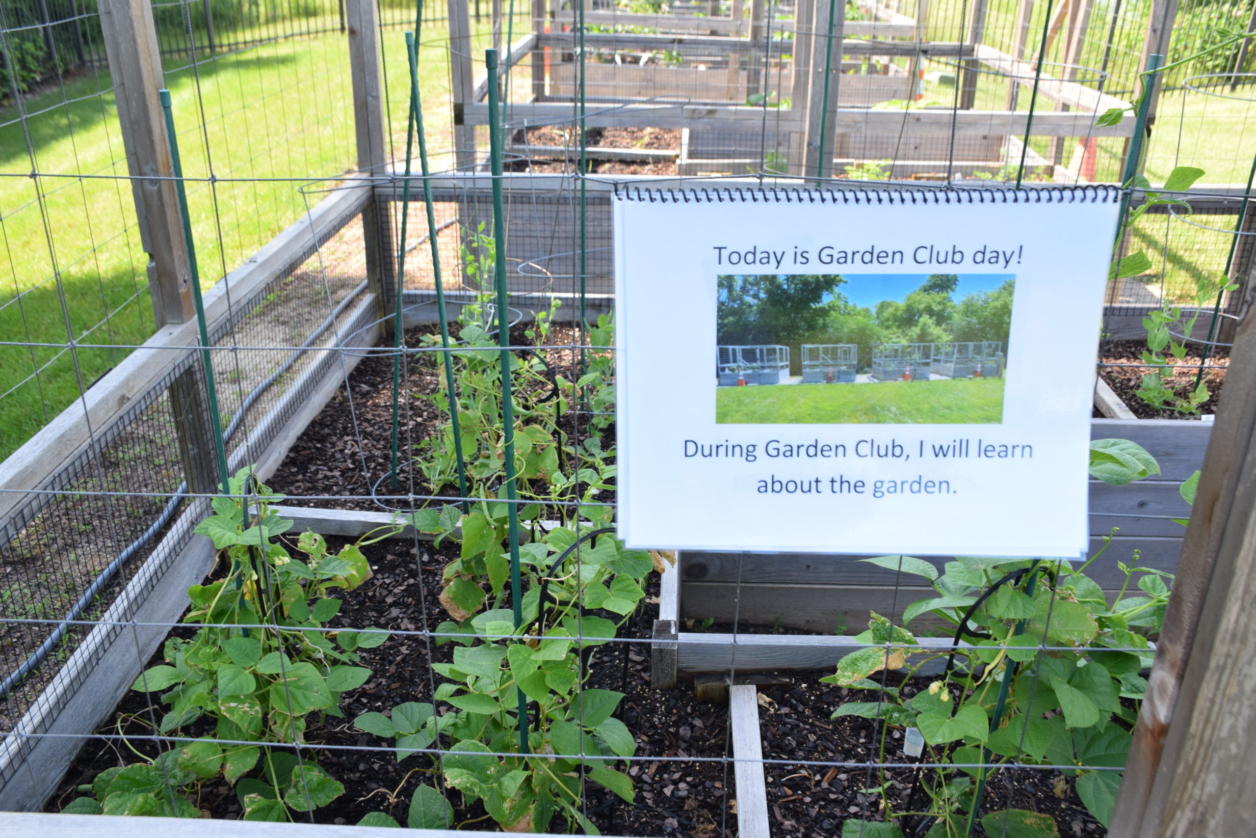 Garden Club Focuses on Sensory Exploration